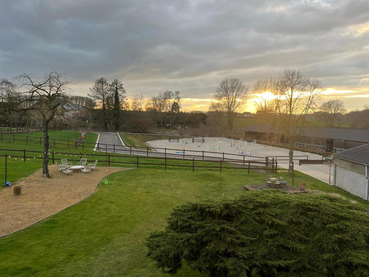 At Haras Petit-hallet *